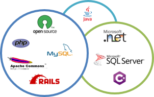 softwareBubble