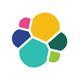 Elastic Search